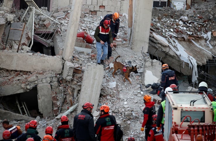 Türk Veteriner Hekimleri Birliği’nden depremzede hayvanlara ücretsiz tedavi