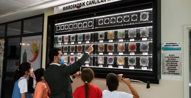 Bilim Sanat Merkezi’ndeki “Mikroskobik Canlılar Müzesi”, öğrencilerin ilgi odağı oldu