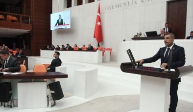 Taşdoğan’dan Antep fıstığı için destek talebi