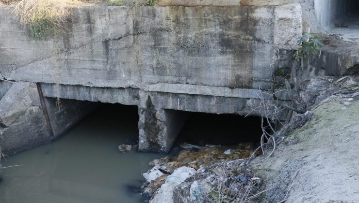 Kanalda eşek kafası ve sakatatları çıktı