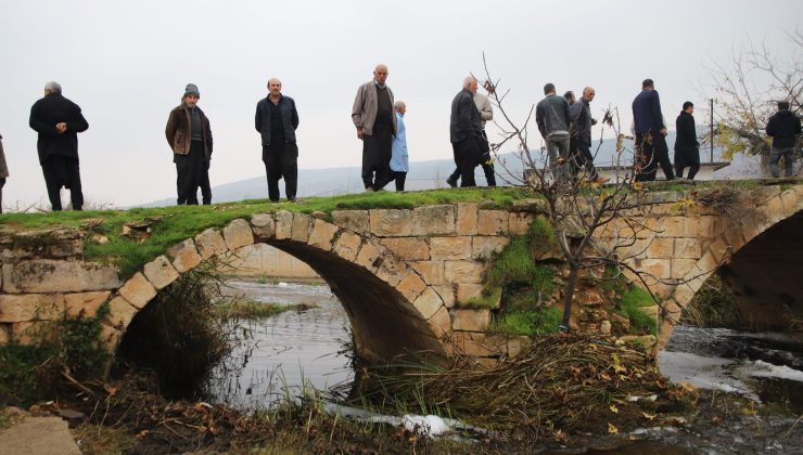 Balık ölümleri tedirgin ediyor