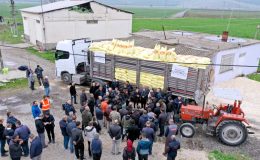 Arpa ve buğday üreticilerine gübre desteği