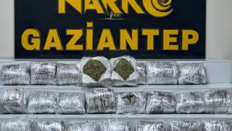 24 kilo skunk ele geçirildi