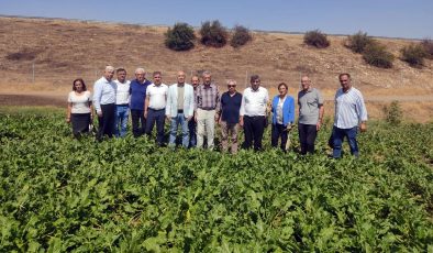 ”Şekerpancarı’ nın tadı kaçtı”