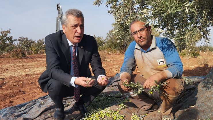 Milletvekili Öztürkmen çiftçiye bir dokundu, bin ah işitti