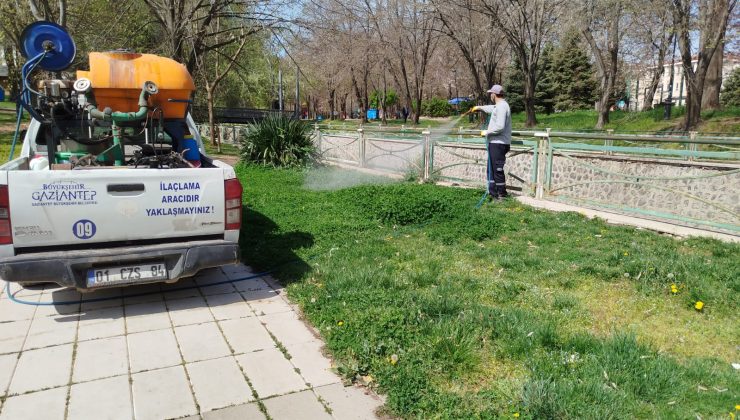 Büyükşehir, ilaçlama çalışmalarına ağırlık verdi