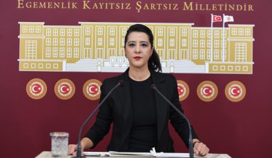 Sevda Karaca, Samandağ’daki kaçak beton tesisini sordu