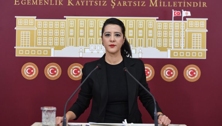 Sevda Karaca, Samandağ’daki kaçak beton tesisini sordu