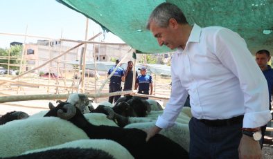 Şahinbey Belediyesi kurbanlık satışına başladı