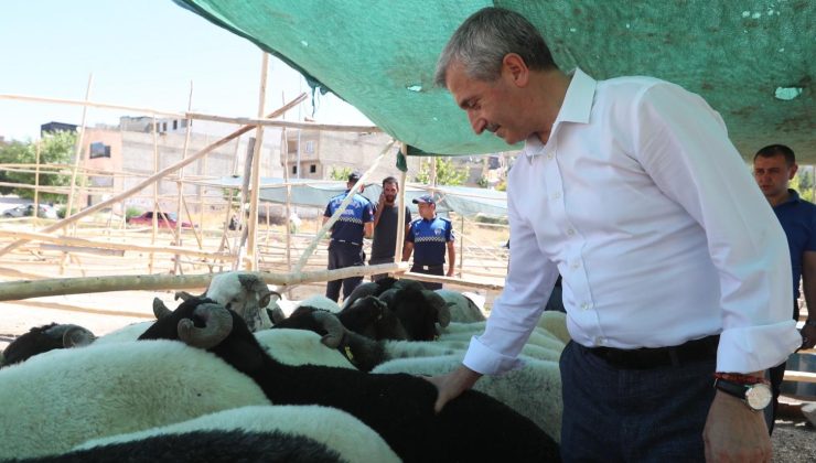 Şahinbey Belediyesi kurbanlık satışına başladı