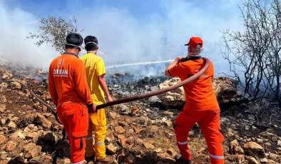 Gaziantep’te meşelik alanda yangın çıktı…