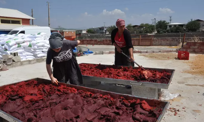 Gaziantep’in salçası Dünya’ya satılıyor