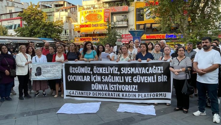 Gaziantep Demokratik Kadın Platformu: Korkmuyoruz