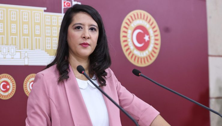 ŞİRECİ PATRONU KURTLU YEMEKLERE “PROTEİN OLUR” DİYOR